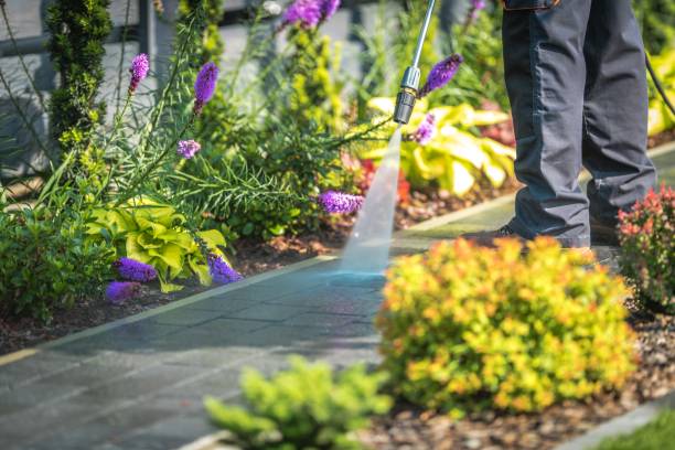 Professional  Pressure Washing Services in Del Monte Forest, CA